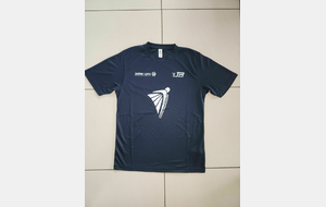 68ce6a2bc6b11_TShirtIC71.jpg